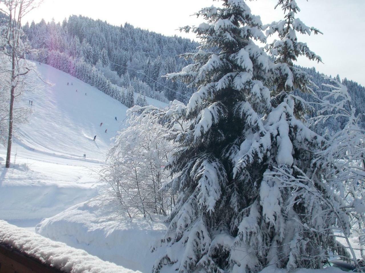Chalet Jonquille Les Gets Exteriér fotografie