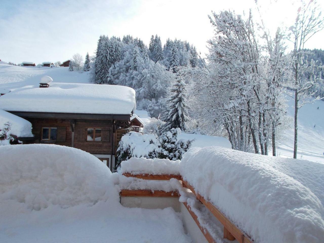 Chalet Jonquille Les Gets Exteriér fotografie