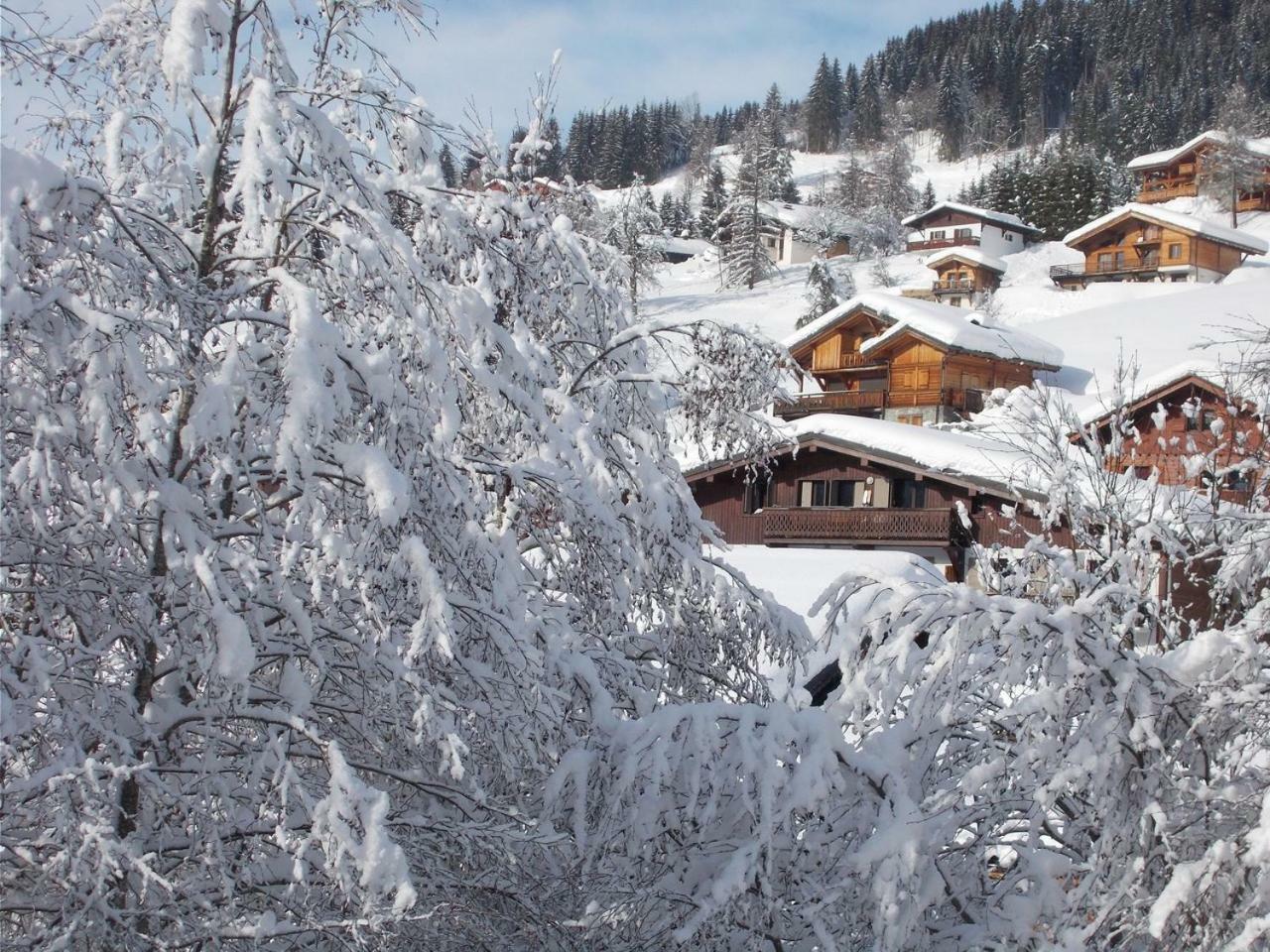 Chalet Jonquille Les Gets Exteriér fotografie